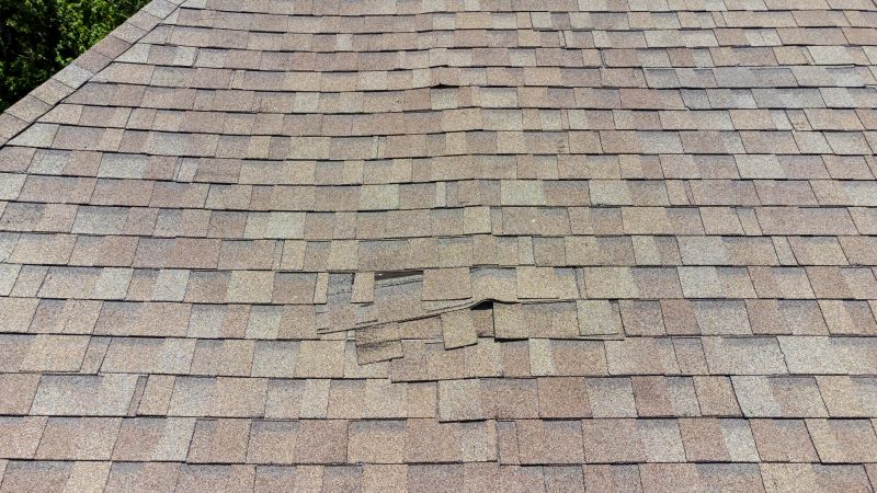 Asphalt Roof Inspection in Adams County, CO