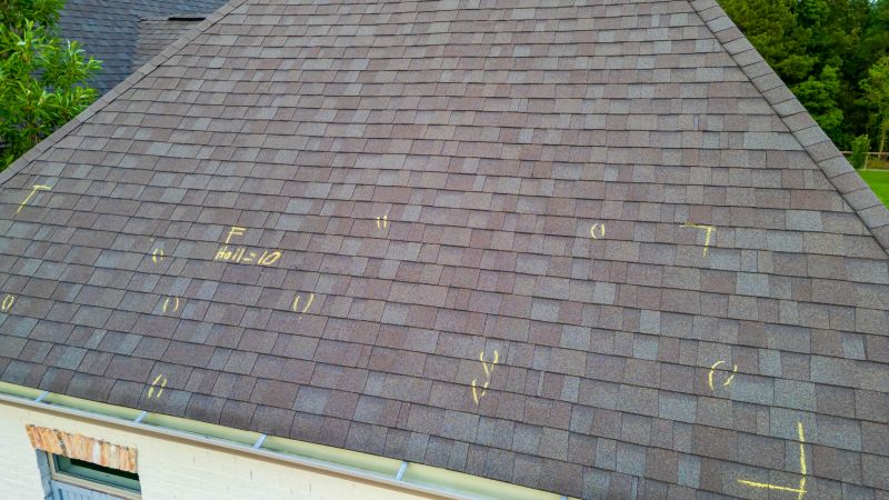 Asphalt Roof Inspection in Denver, CO