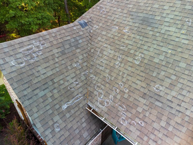 Asphalt Roof Inspection in Denver County, CO