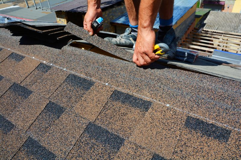 Asphalt Roof Repair in Denver County, CO
