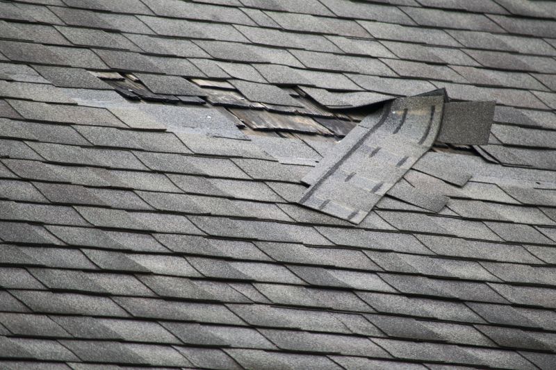 Asphalt Roof Repair in Elbert County, CO
