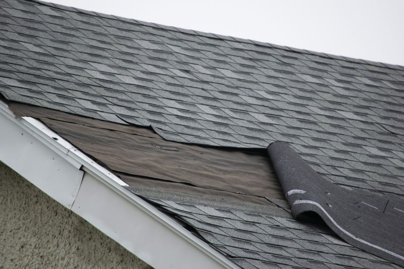 Asphalt Shingles Repair in Englewood, CO