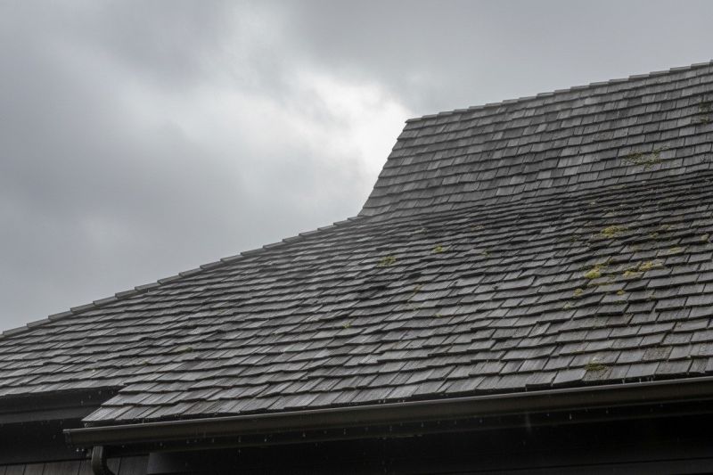 Cedar Roof Replacement in Wheat Ridge, CO