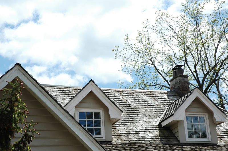 Cedar Shingles Replacement in Denver County, CO
