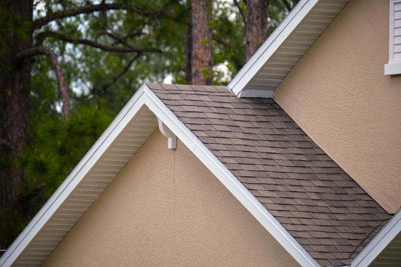Damaged Roof Repair in Arapahoe County, CO