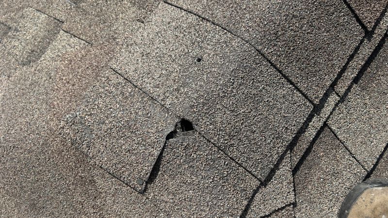 Damaged Roof Repair in Castle Rock, CO
