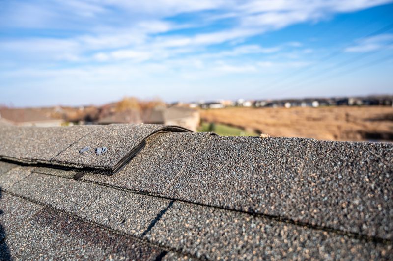 Damaged Roof Repair in Elbert County, CO