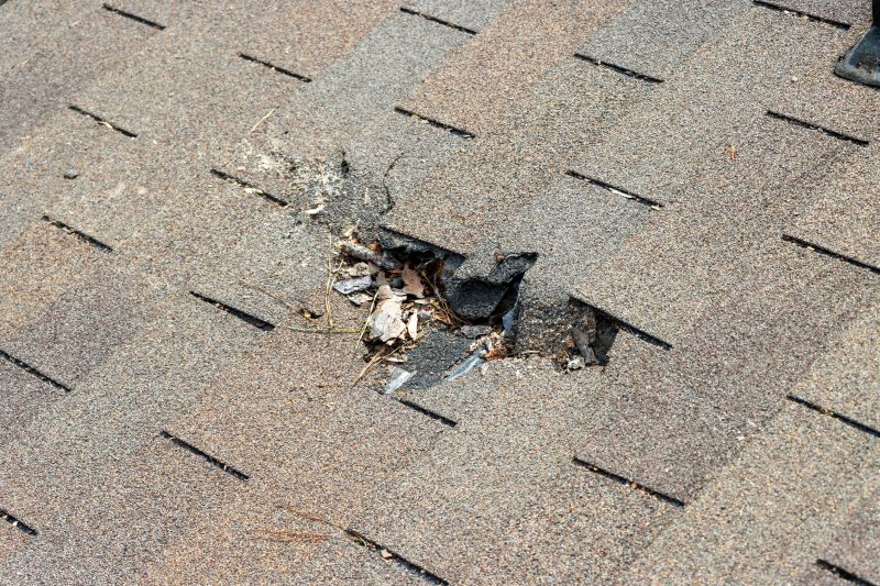 Damaged Roof Replacement in Arapahoe County, CO