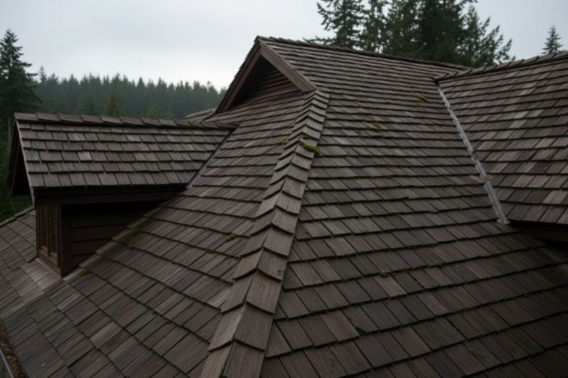 Wood Shake Roof Replacement in Jefferson County, CO